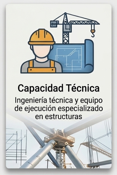 Capacidad Técnica